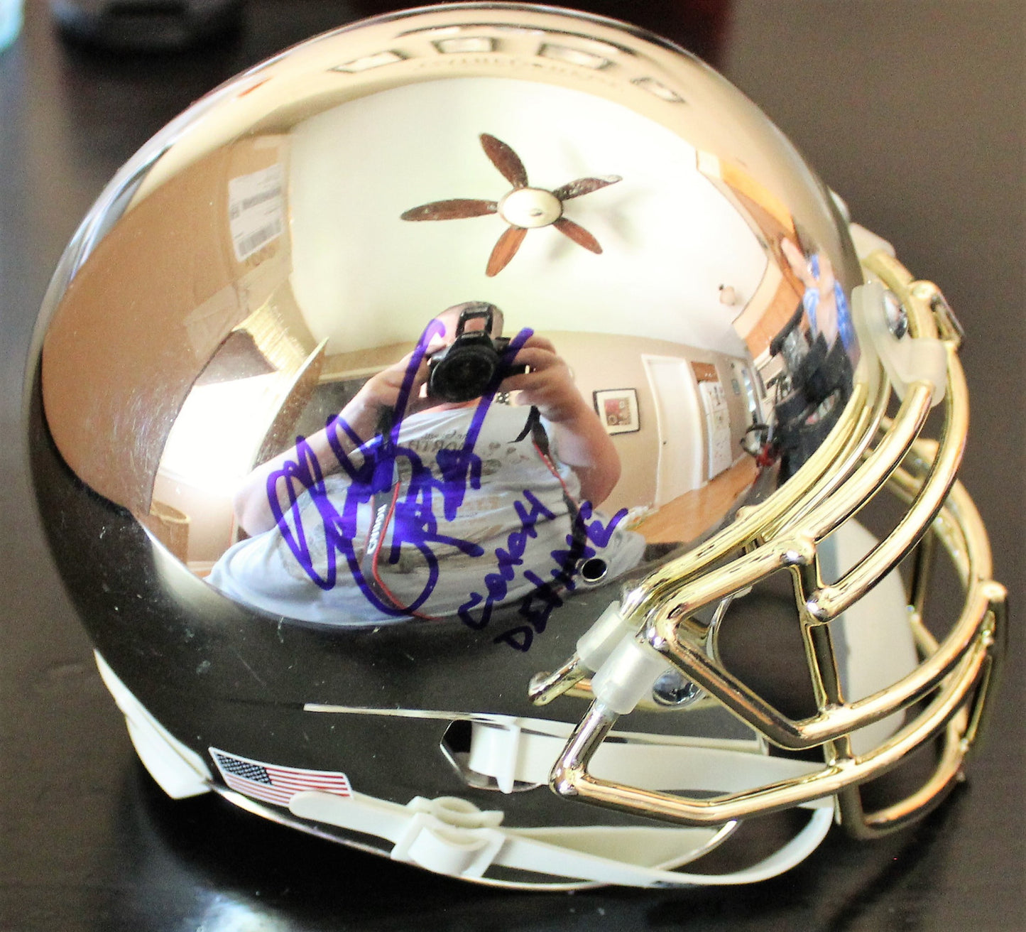 Chelcie Ross Signed Notre Dame Custom Chrome Mini Helmet w/COA Dan Devine #2