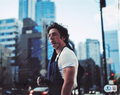 Jeremy Allen White Signed Carmy The Bear Yes Chef 8x10 Photo w/Beckett BW54198
