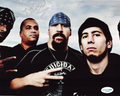 Dean Pleasants Suicidal Tendencies Signed 8x10 Photo w/ACOA SD59901