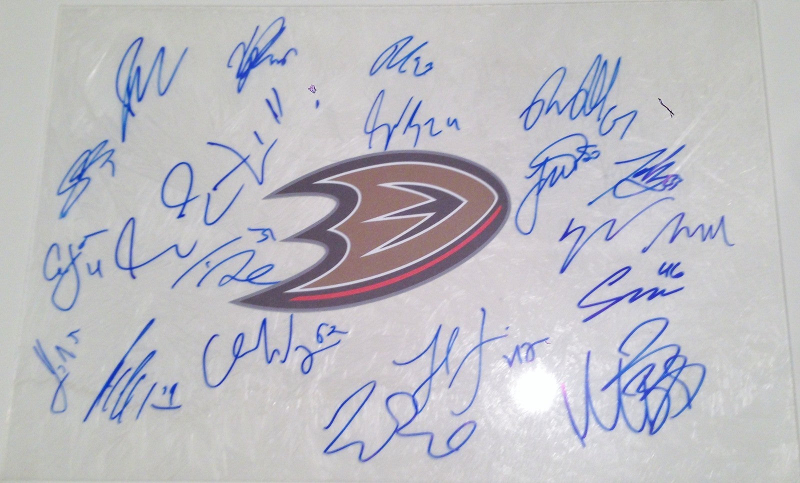 2014 Anaheim Ducks Team Signed Plexiglass w/COA Approximate Size 14x18 2015