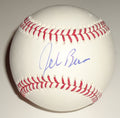 Jeb Bush signed Major League baseball Governor of Florida w/coa PRESIDENT 2016 ?