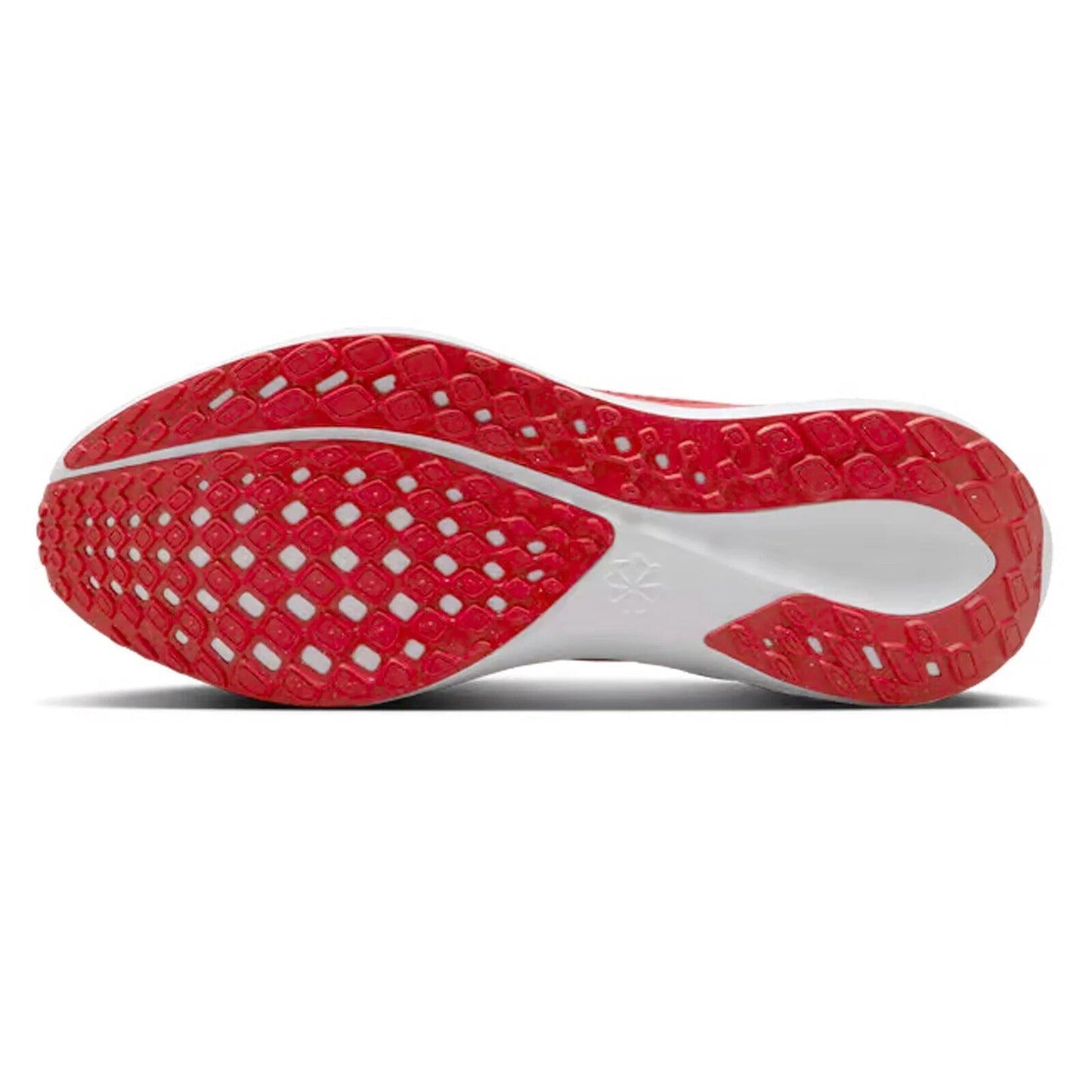 Size 8 Men's Nike Air Zoom Pegasus 41 OHIO STATE BUCKEYES FZ5135 600 NEW