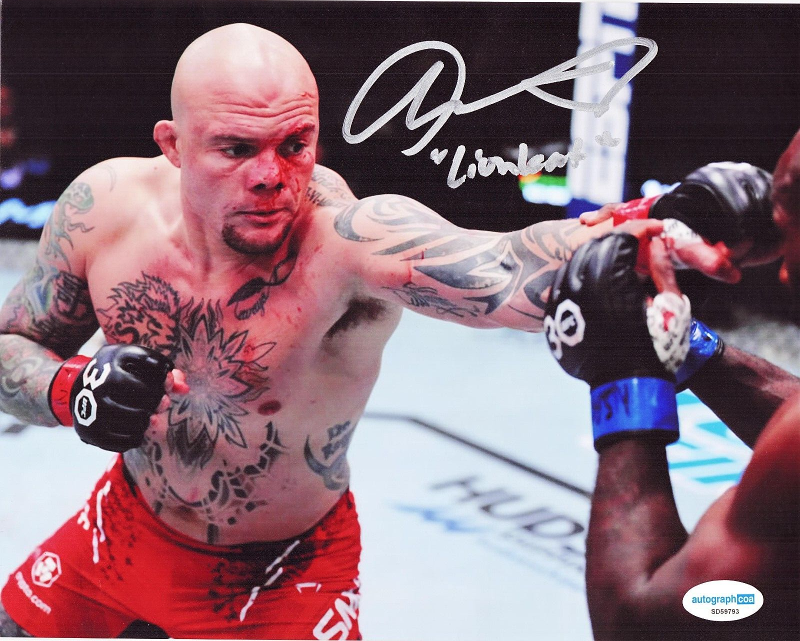 Anthony Pettis "Lionheart" UFC Fighter MMA Signed 8x10 Photo w/ACOA SD59793
