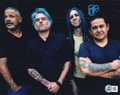 Fat Mike Signed NOFX Rock Roll Michael Burkett 8x10 Photo w/Beckett COA BP59224