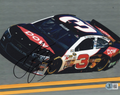 Alex Bowman Nascar Racing Driver Signed 8x10 Photo w/Beckett COA BP01458