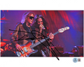 Tom Hamilton Aerosmith Guitar Rock Signed 8x10 Photo w/Beckett COA BR25833