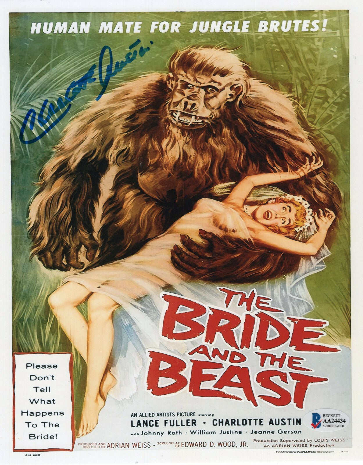 Charlotte Austin Bride and The Beast Signed 8x10 Photo w/Beckett COA AA24434 BAS